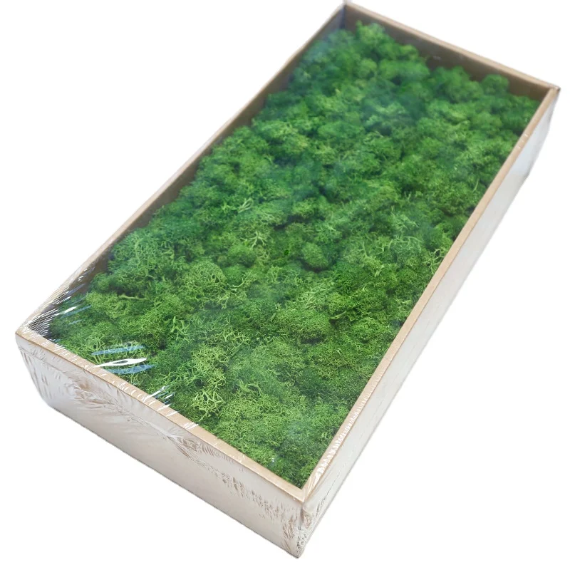 Wholesale Stabilize Reindeer Artificial Moss Wall Preserved Moss for Office decoration vertical garden flower wall