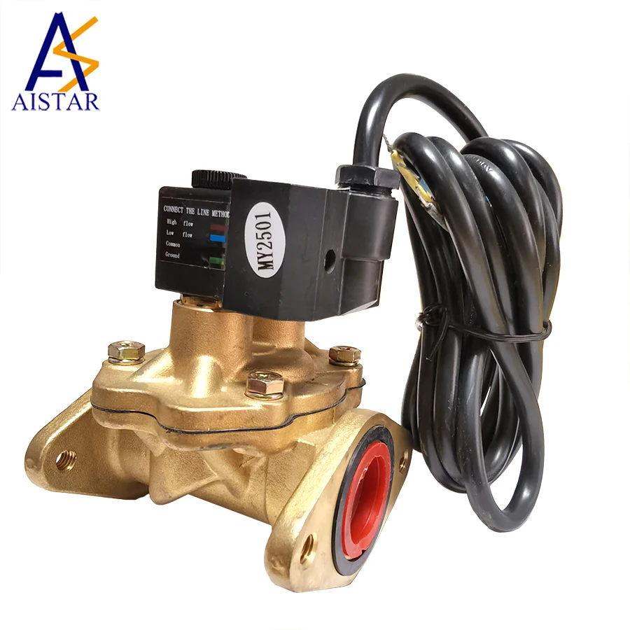 110V/220V --- Solenoid Valve