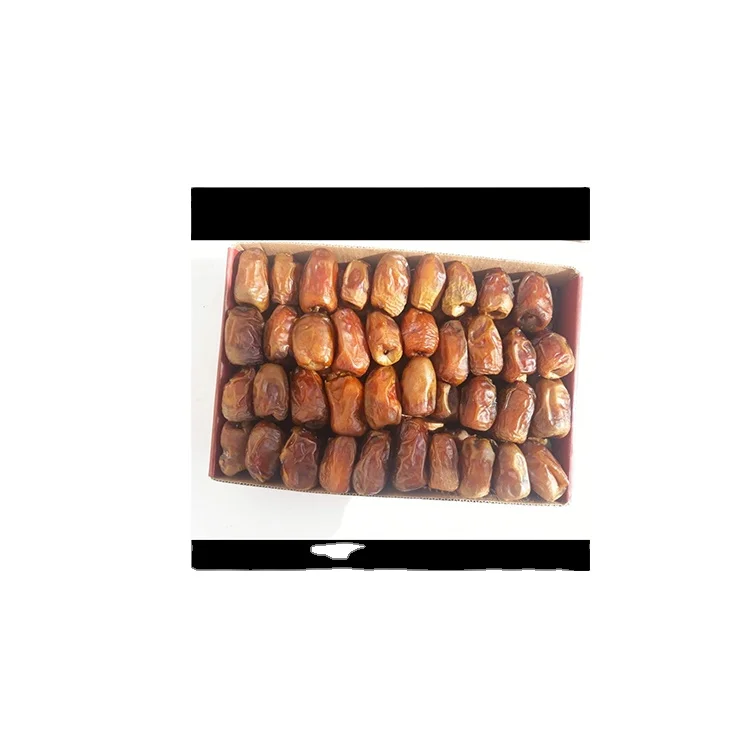 Wholesale New Arrival Egypt Dried Fruit Dry Certified d Dates dates for good price