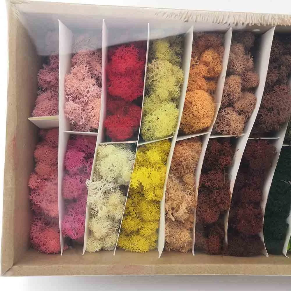 Office Decoration Wholesale Stabilized Moss Green Wall Moss Preserved Natural Moss Wall