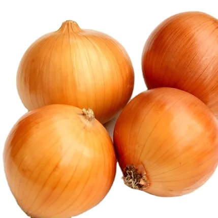 2024 fresh crop onion hybrid seed red yellow 10kg 20kg fresh onion for export