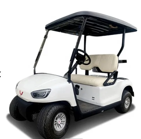 New 2 Seats Good Prices Electric Golf Cart Golf Car with CE Certification WLDT2A