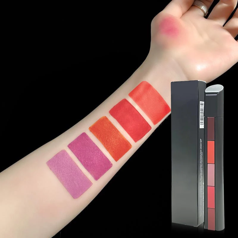 Factory OEM Waterproof Matte Lipstick Travel Size 5 in One Long Wear Stain Combo Makeup Cosmetics Mineral Lipstick Kit Custom