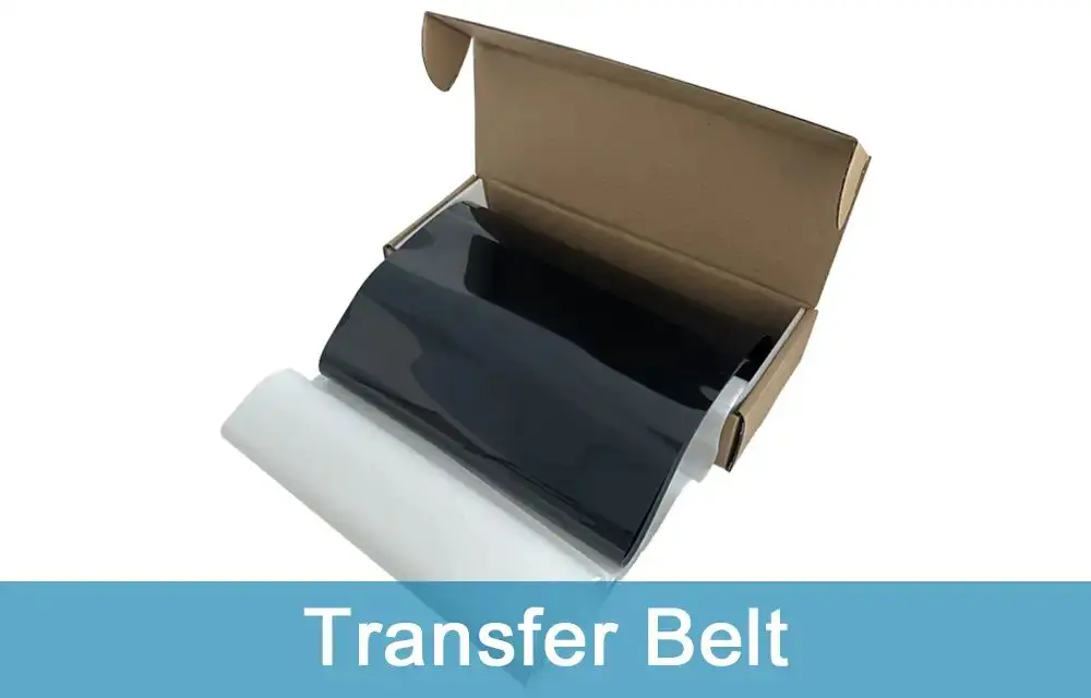Transfer Belt