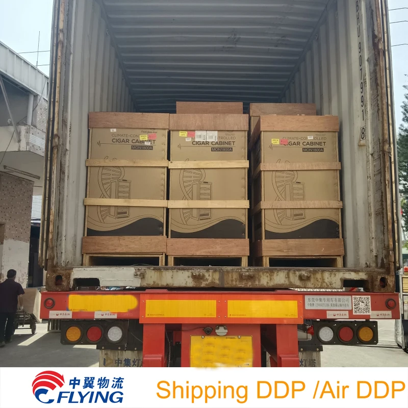 Shipping agent from China to Spain, Czech Republic, Austria, Hungary, Greece, Italy Air shipping/sae shipping DDP  Door to door