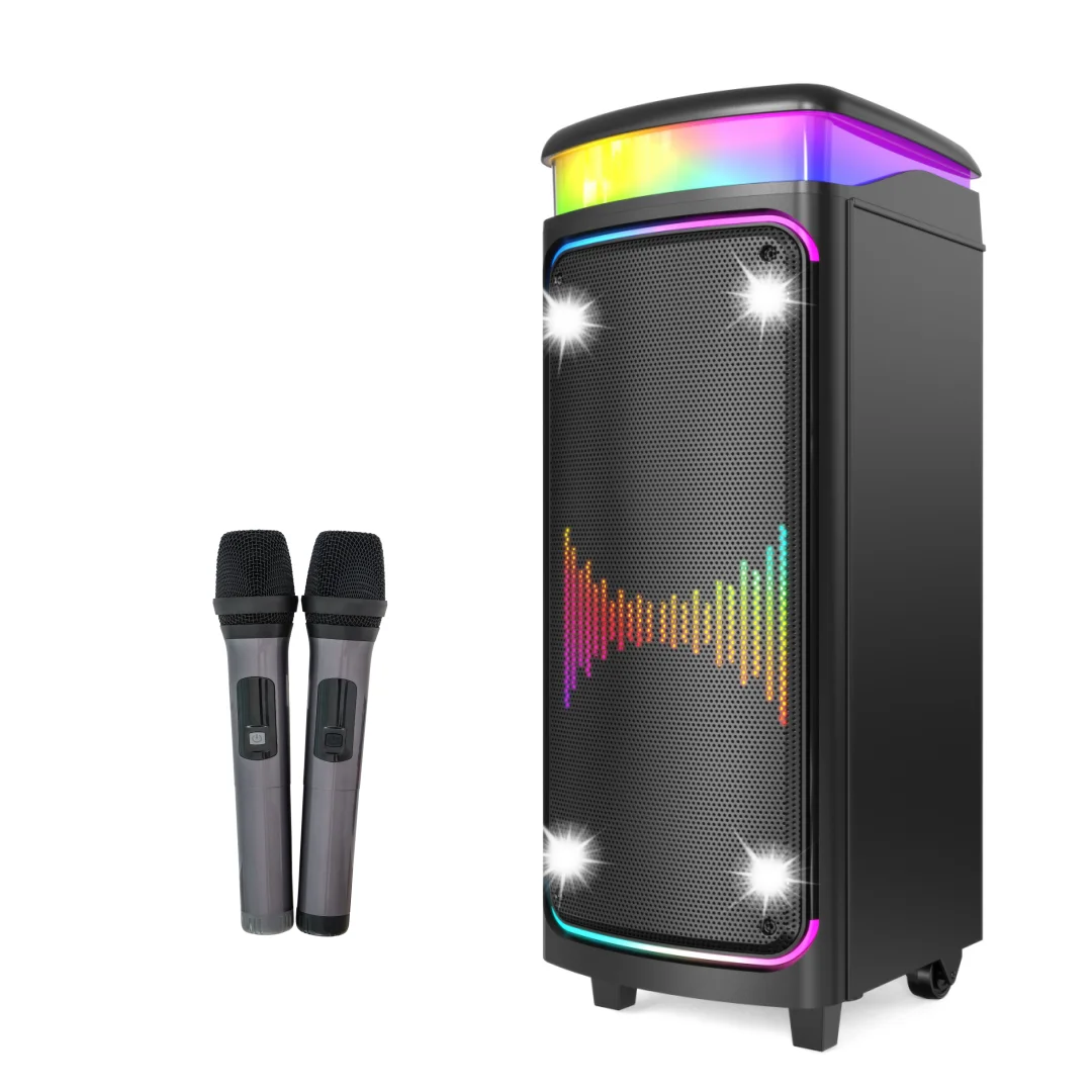 New dual 8-inch party speaker with microphone