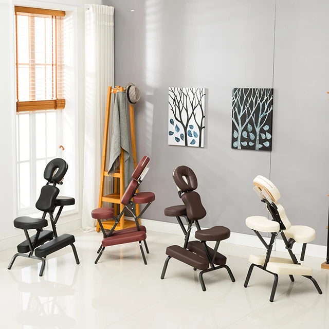 Professional Gym Equipment Multi-functional Adjustable Used Fitness Chairs
