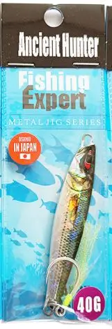 Ancient Hunter 1PCS/Bag shore Jigging  20G 40G 60G 80G  Metal 3D bionic printing shore jig With Mustad hook