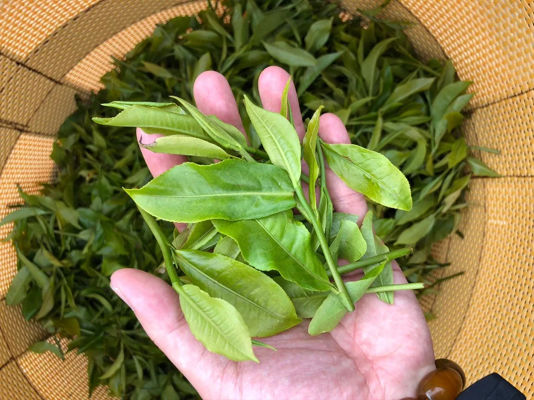 
Top sale guaranteed quality Taiwan assam black tea Wholesale big package 5KG 