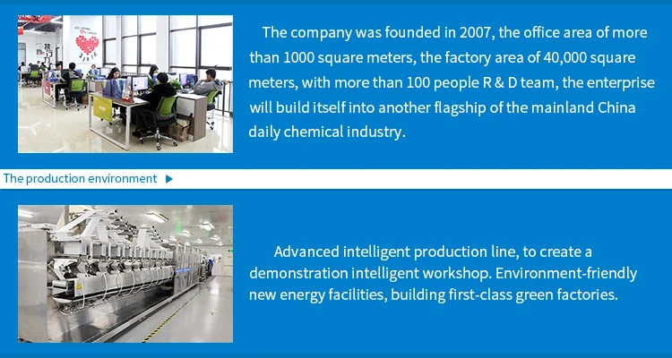 rechargeable electric toothbrush