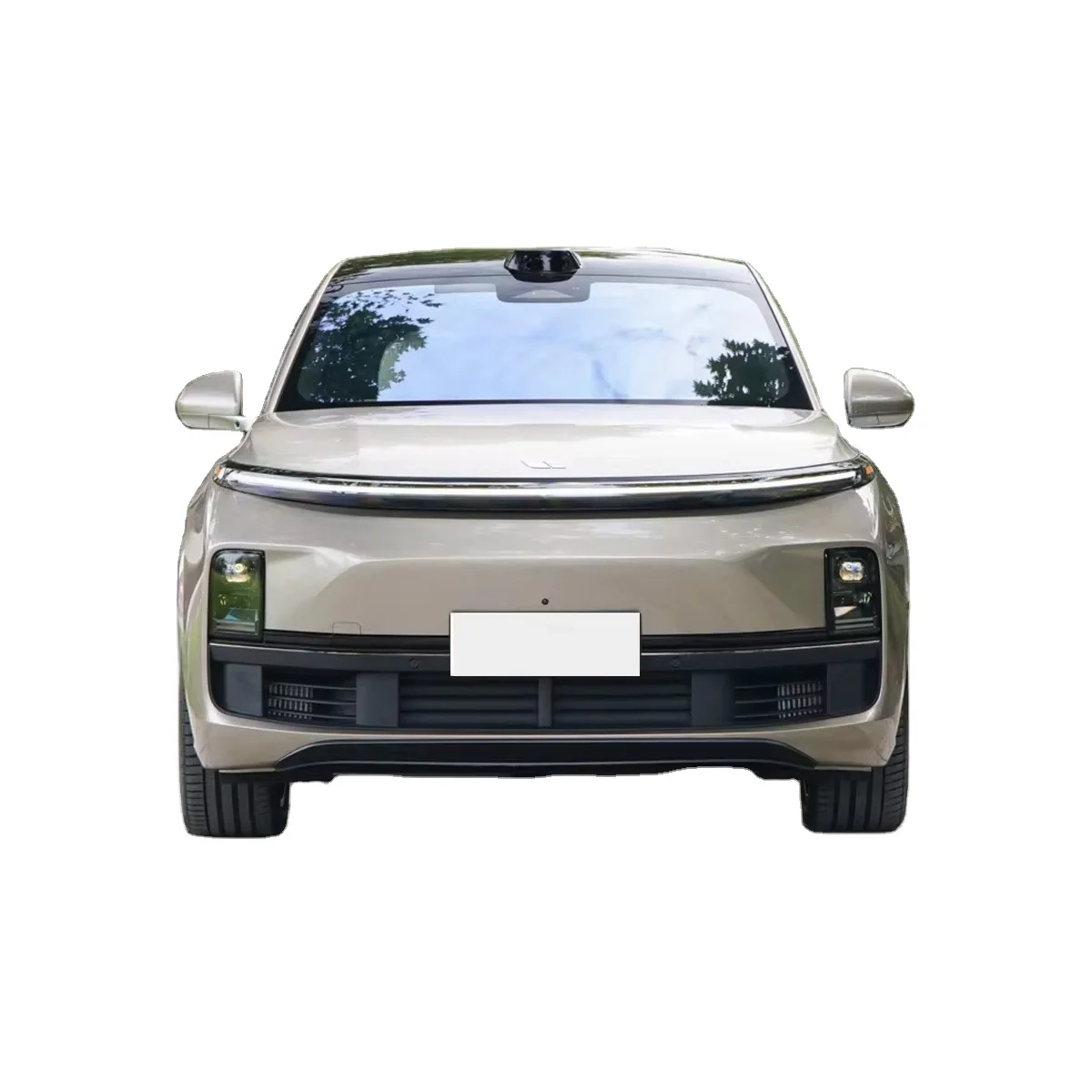 Luxury High Speed Used Electric Car for Sale X-Peng P7