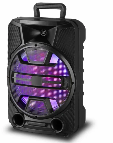 Xinvo 2022 wholesale New style ready to ship factory price portable wireless  karaoke speaker
