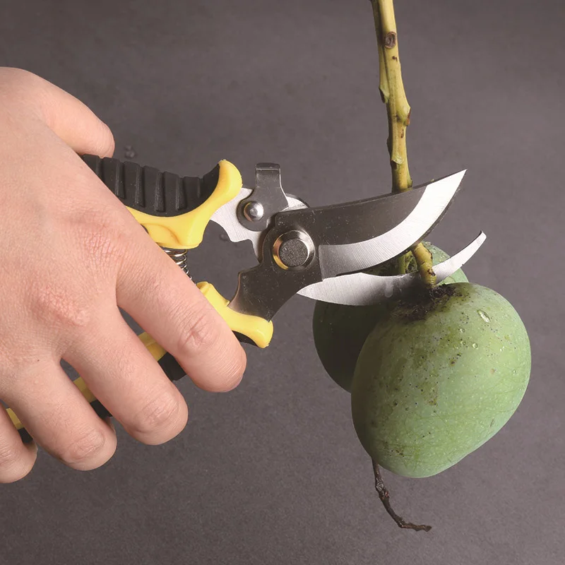 Factory Price Industrial Leaf Shape Scissors 4 Pack Ccr Scissors