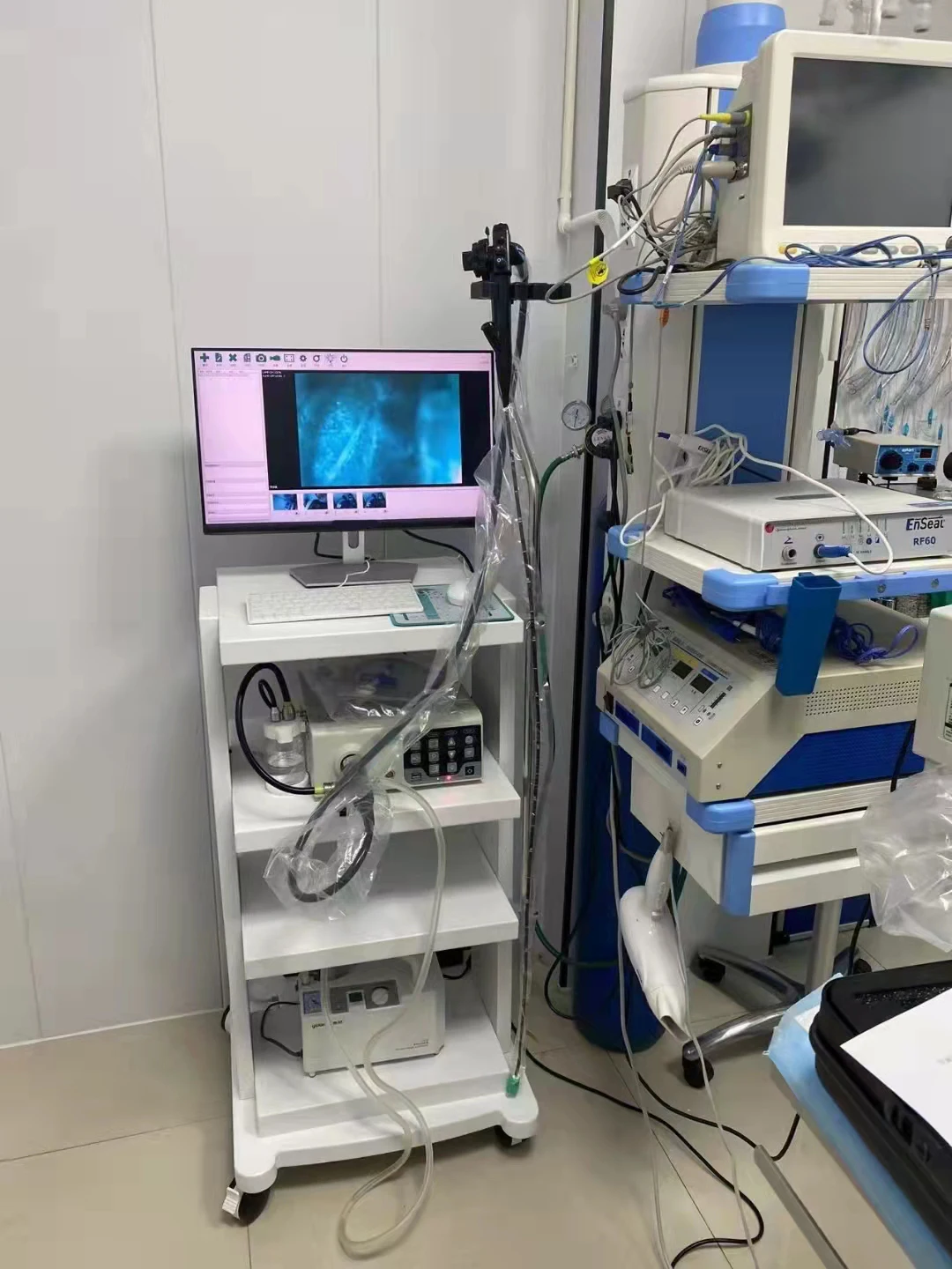 Newly listed gastroscopy colonoscopy medical gastrointestinal endoscopy system Animal endoscopic