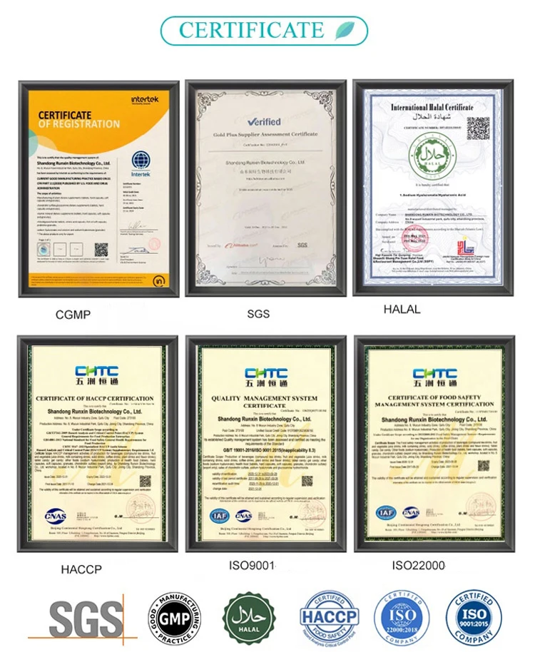 OEM Mushroom Electrolyte Supplements Keto Sachet Sugar Free Drink Hydration Electrolyte Powder Packets