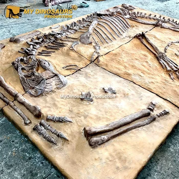 MY DINO Prehistoric Moroccan Dinosaur Game Trilobite Fossil for Sale