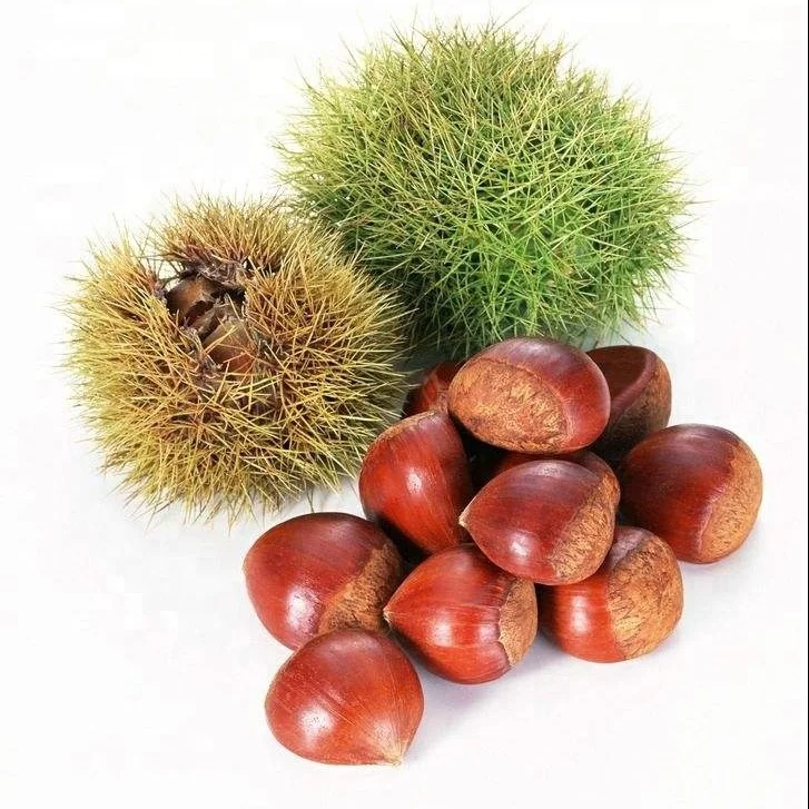 Сладкий свежий каштановый пакет из Китая