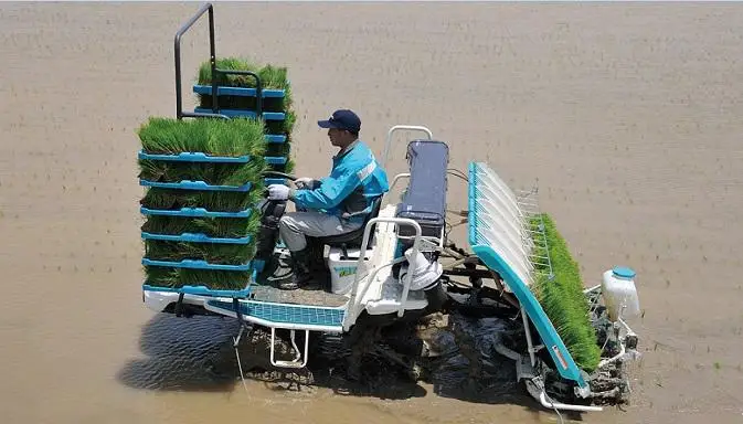 
Corn/wheat/peanut planter 