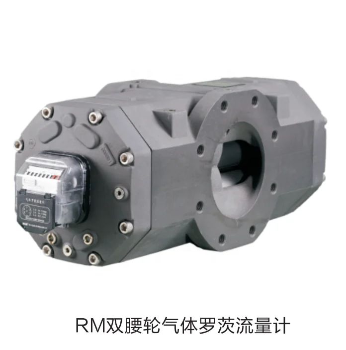 
RM Series rotary gas meter 