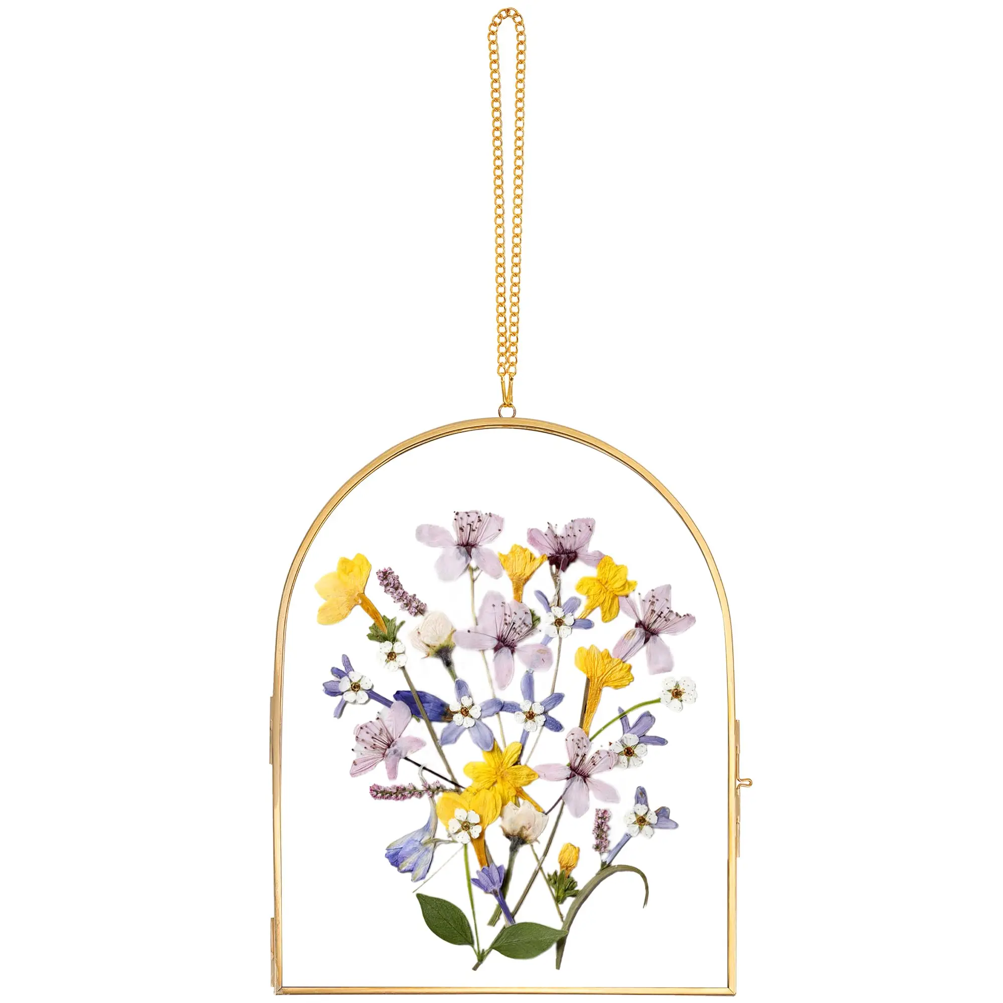 Half Circular Home Decor Gold Handmade Unique Double Glass Picture Frame Glass Pressed Flower Frame  for Pressed Flowers