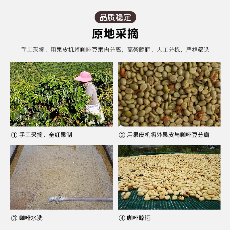 Chinese yunnan arabica washed green coffee beans,simao grade 1
