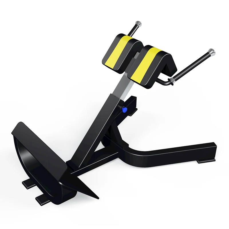 Manufacturers Provide Gym Sports Equipment 45 Degree Lower Back Extension Bench/Roman Chair
