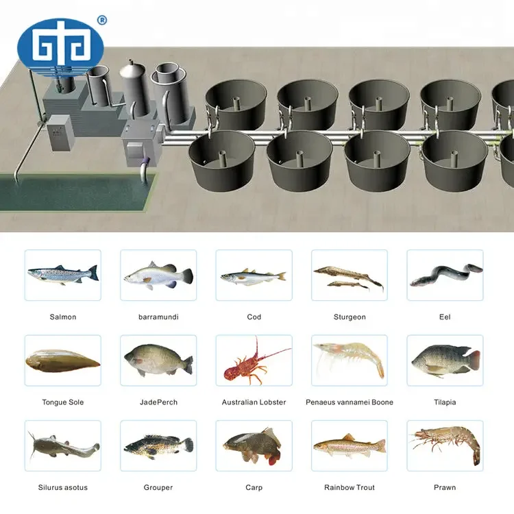 Ras полный комплект системного оборудования для системы tilapia