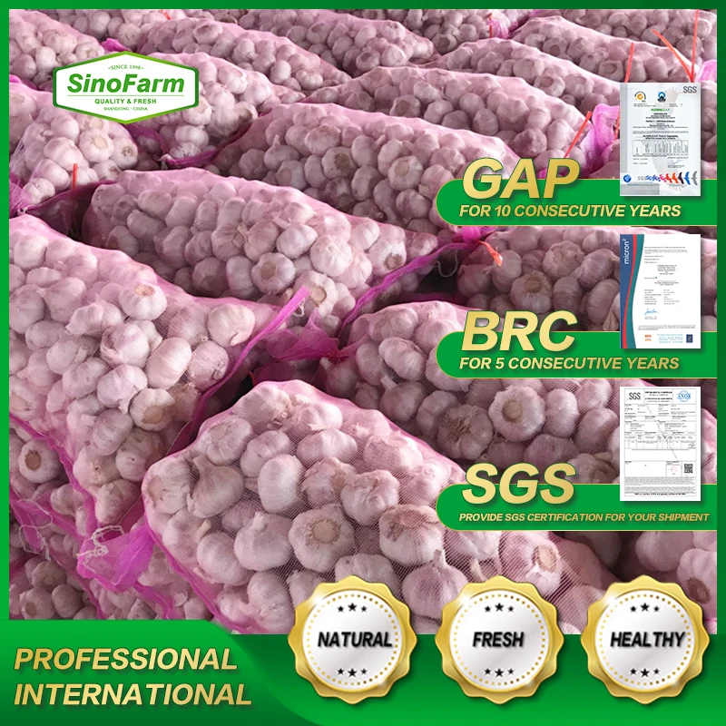 Sinofarm 2024 новый урожай Китай/китайский чеснок цена в Саудовской Аравии 5 см китайский нормальный белый от поставщика Shandong