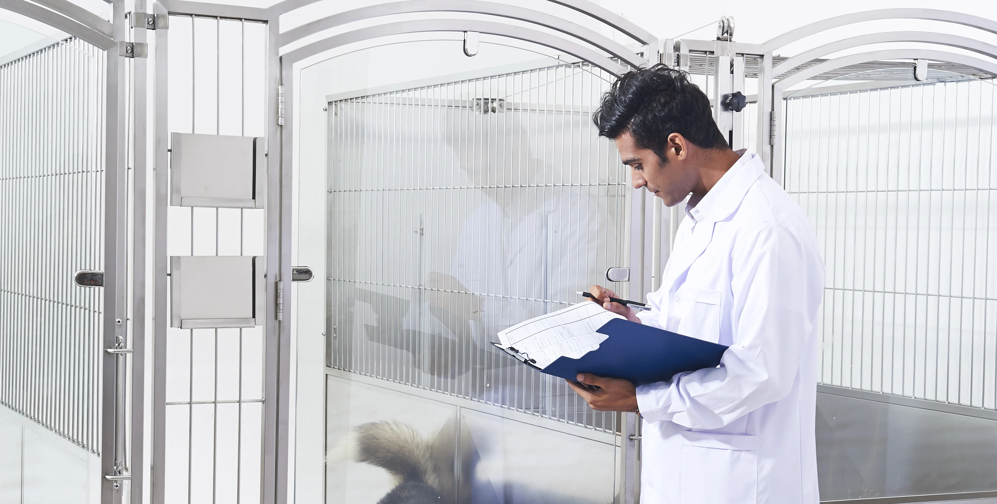 AEOLUS Walk-in kennel Very Versatile boarding kennel Cost Effective Big place for pets to live stainless steel dog kennel