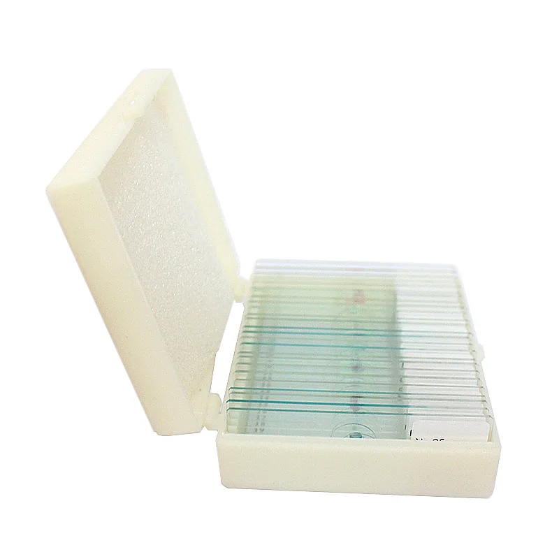  25pcs Hot Sale Mixed Glass Prepared Microscope Slides Set On Plant Animal