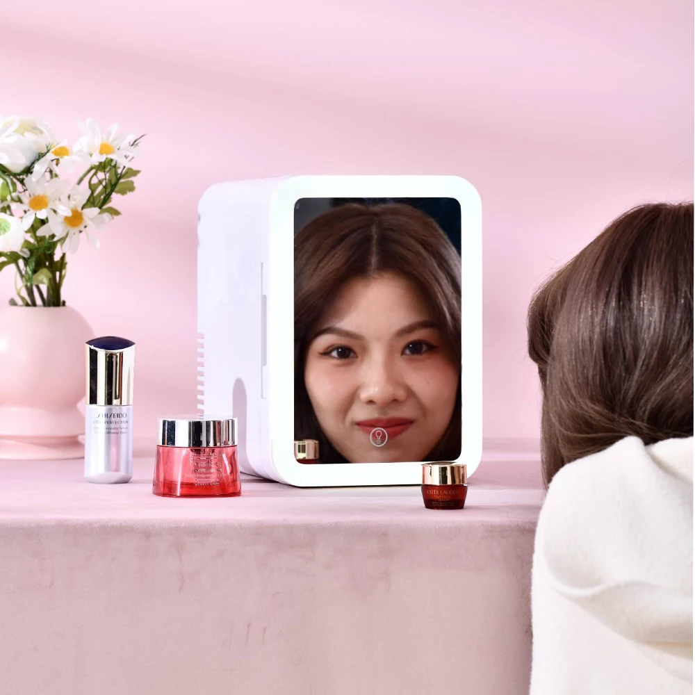 custom logo portable LED mirror skincare 5L 8L 10L 12L cosmetic mini car refrigerator mini fridge portable compressor cooler box