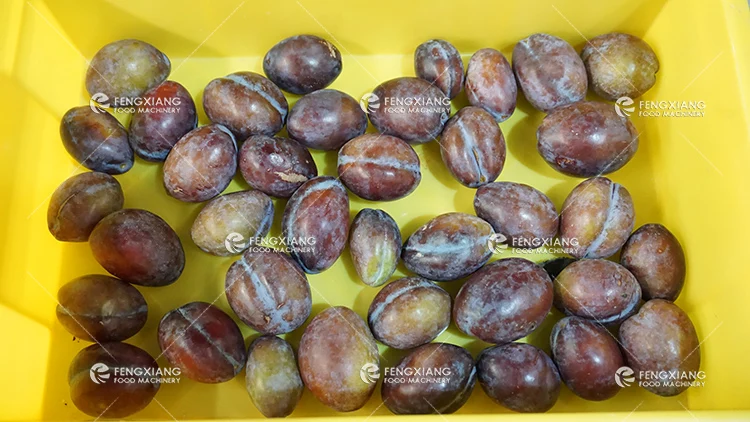 CL-I Industry Automatic plum pitter