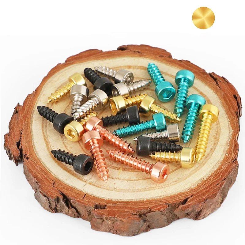 Different Types and Colors All Kinds of Self Tapping Screws Self Drilling Screw Standard and Non Standard Screws