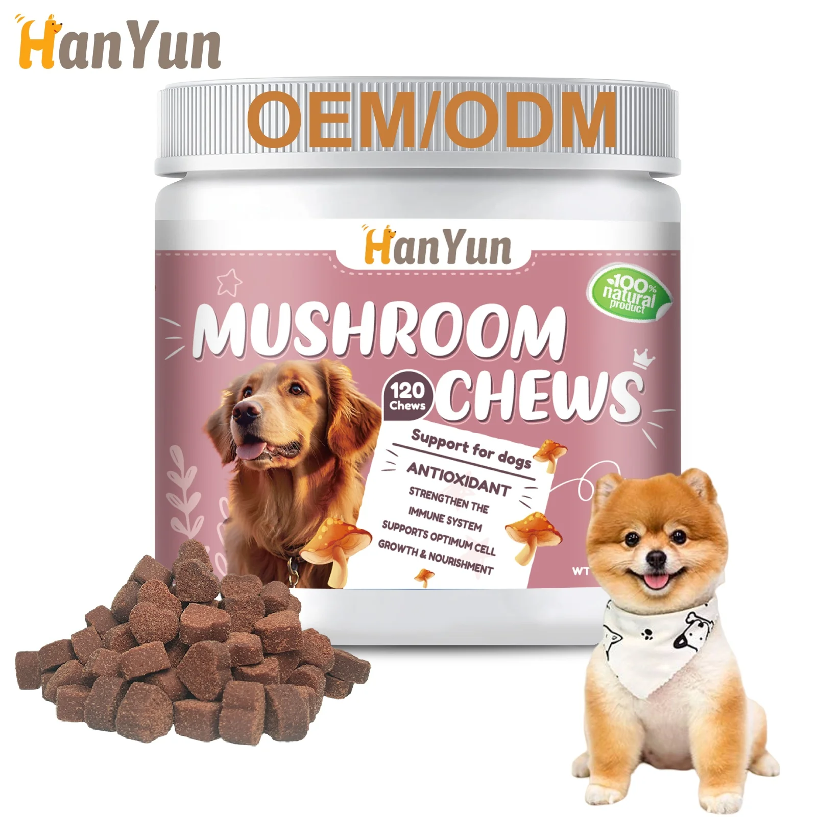 Hanyun Mushroom Supplement for Dogs & Cats Private Label Lions Mane Turkey Tail Mushrooms chews for Cognition and Immune Health