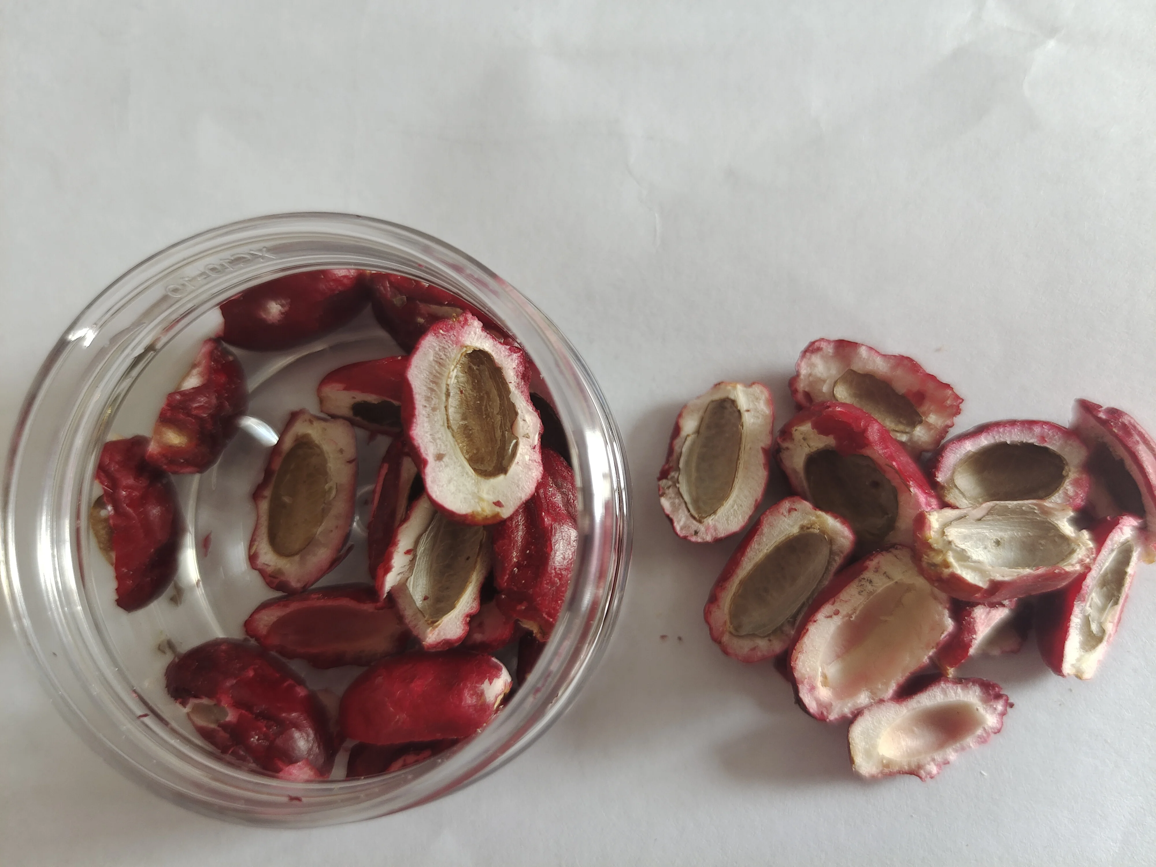 Farm Factory Wholesale Miracle Berry Extract Miracle Fruit Customization Available Freeze-dried Miracle Fruit