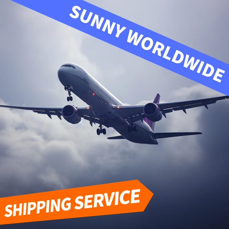 Swwls  Reliable  and Professional Logistics Company  Freight Forward Delivery  Shipment  LCL by air  From China UAE