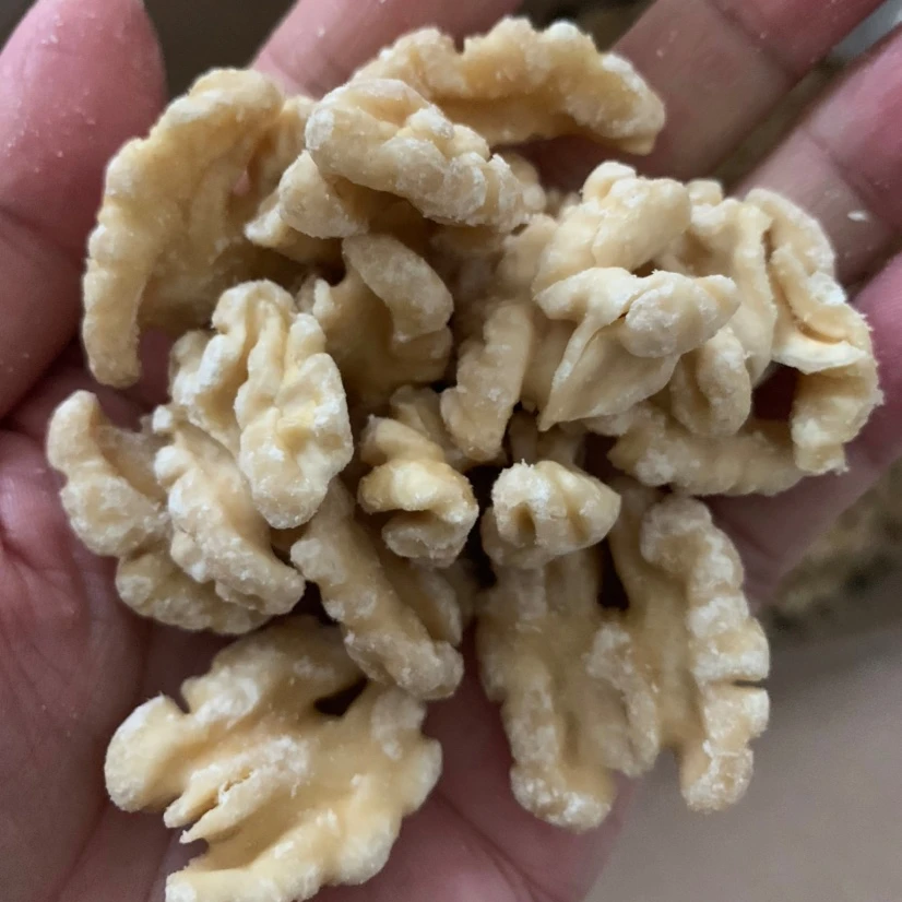 1/2 walnut kernels raw light color/extra light color/light amber halves walnut kernel Xinjiang of China