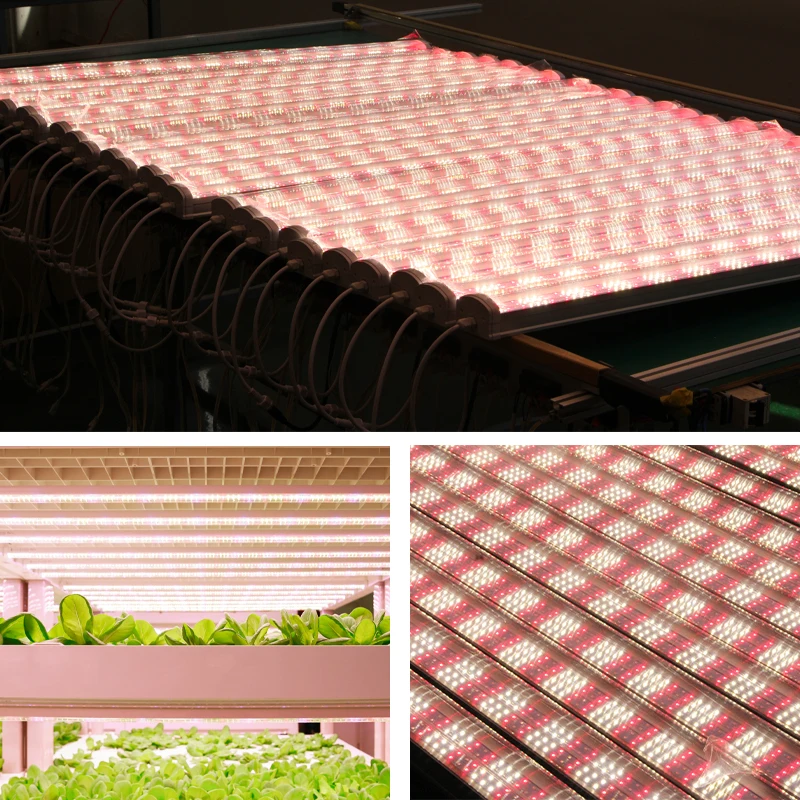 New four row chip lamp tube full spectrum best led grow lights for indoor medical plants grow light led