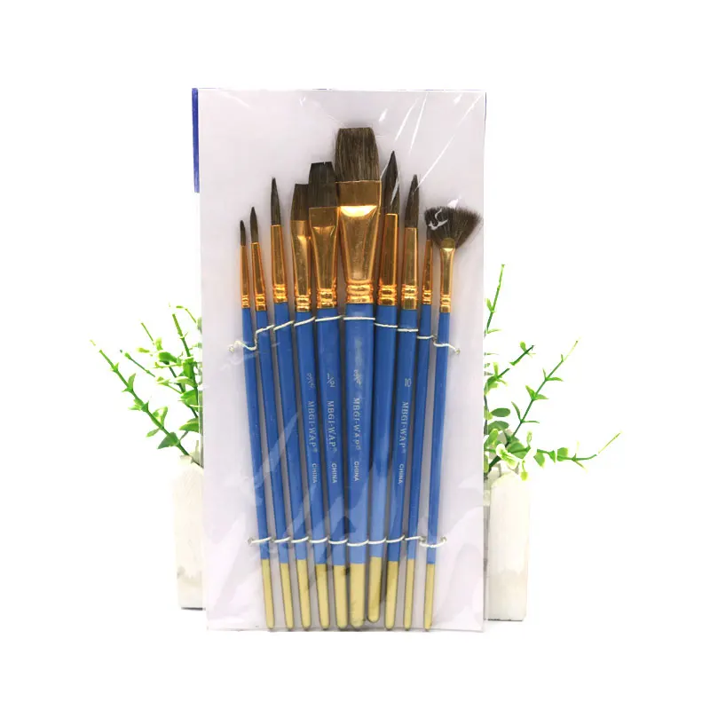 Bview Art Professional Artist Supplier Newest Artist Drawing Brush Set