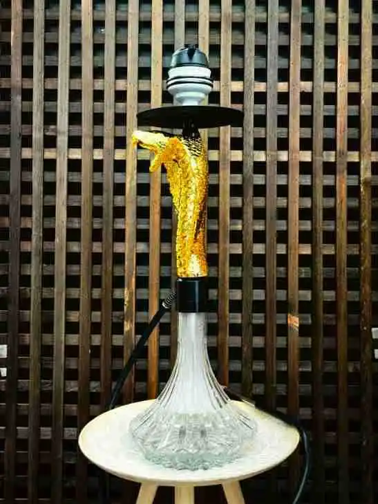 High Quality Cobra Hookah with Silicone Hose Portable Chicha Hookah Set Luxury Resin Hookah Smoking Accessories