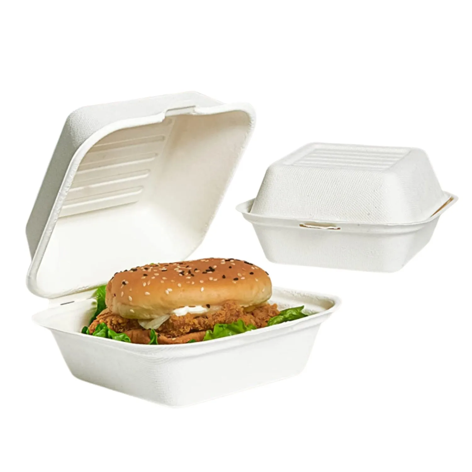 Compostable Bagasse Clamshell Containers Take Away Food Container