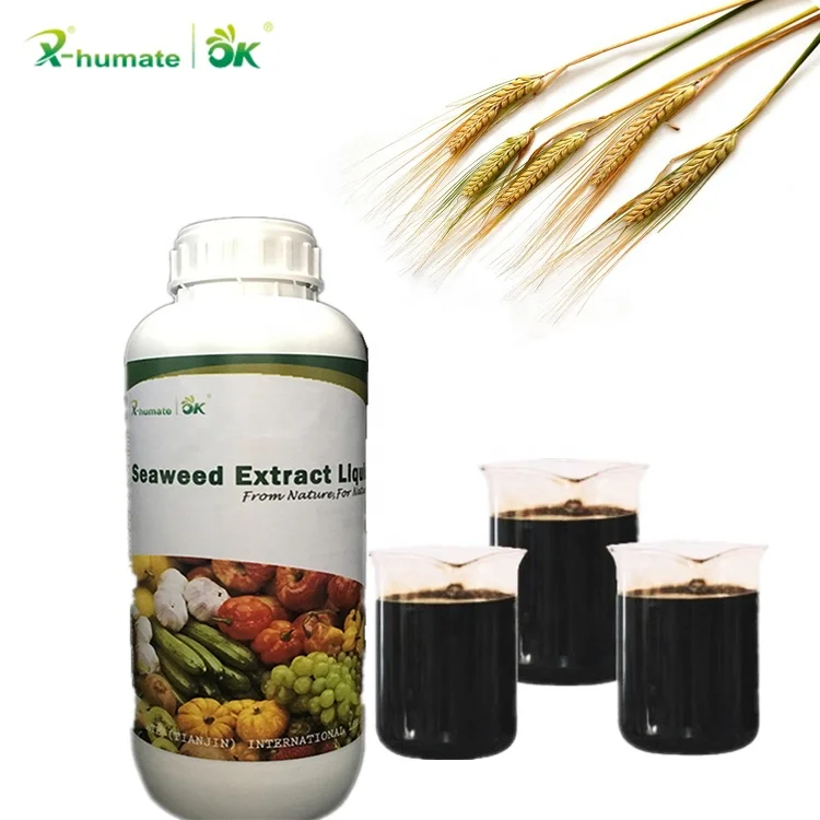 Quick Release 100% Seaweed Extract Organic Fertilizer Liquid Seaweed Extract Seaweed Fertilizer
