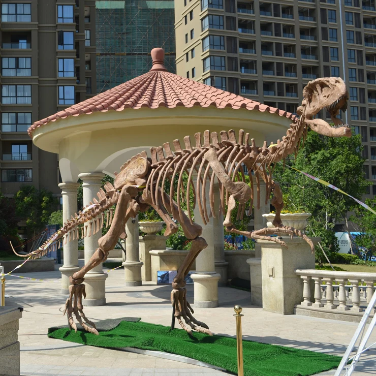 History Exhibits Museum Standard Dinosaur Egg Fossil