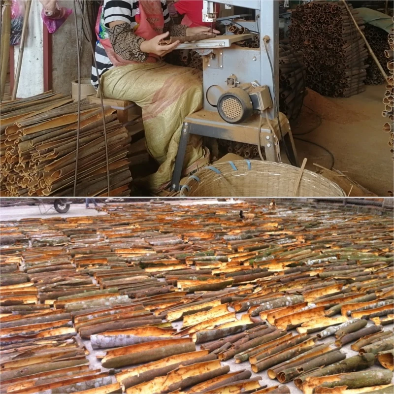 Low Market Price High-Quality Natural Single Spices Cube Cinnamon Vietnam Tube Round Cinnamon Cassia Seed Sauce Stew Seasoning