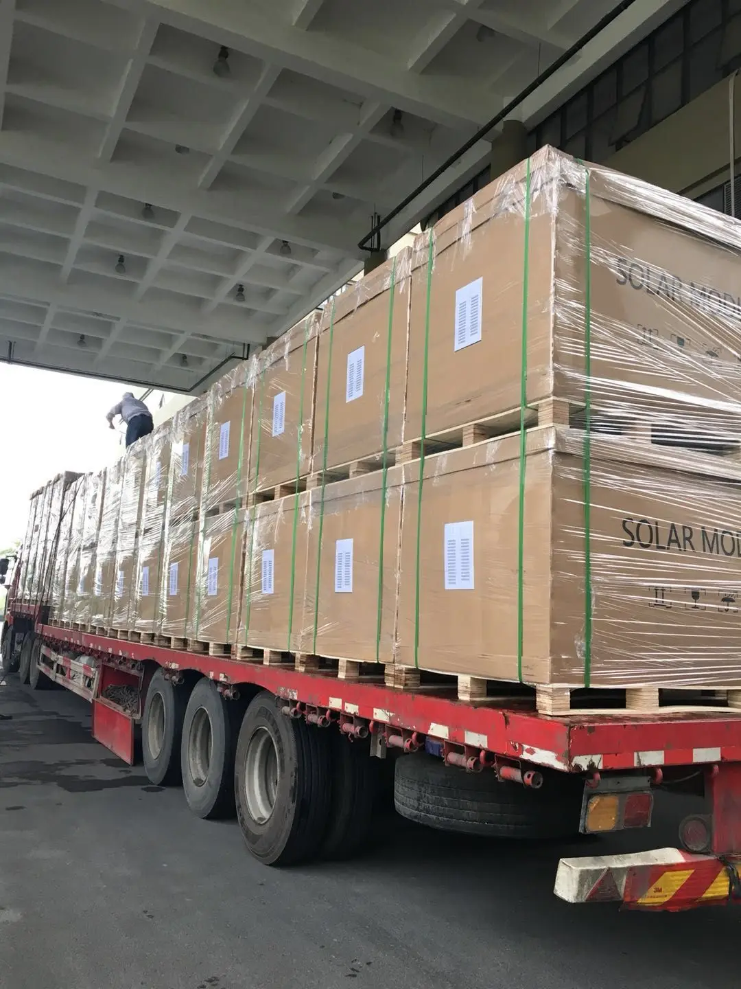 Jinko 550w 585w 600w Tiger Pro Mono Pv Power Half Cell Solar Plate Panel Panels Module 540w Jinko  550 585 600 Watt Perc