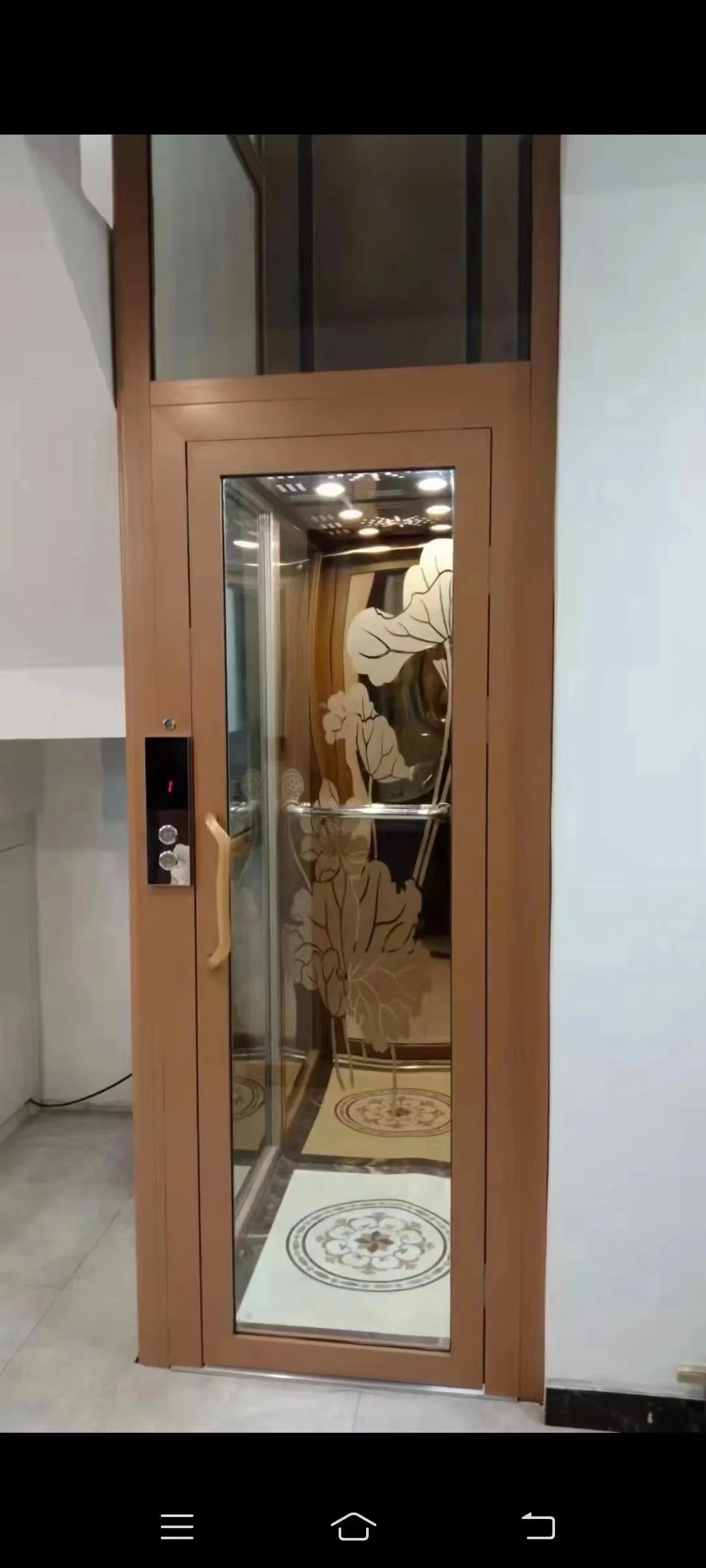Residential Hydraulic Home Elevator Safety Lift Panoramic Glass Large Capacity Titanium Stainless Steel Passenger Elevator