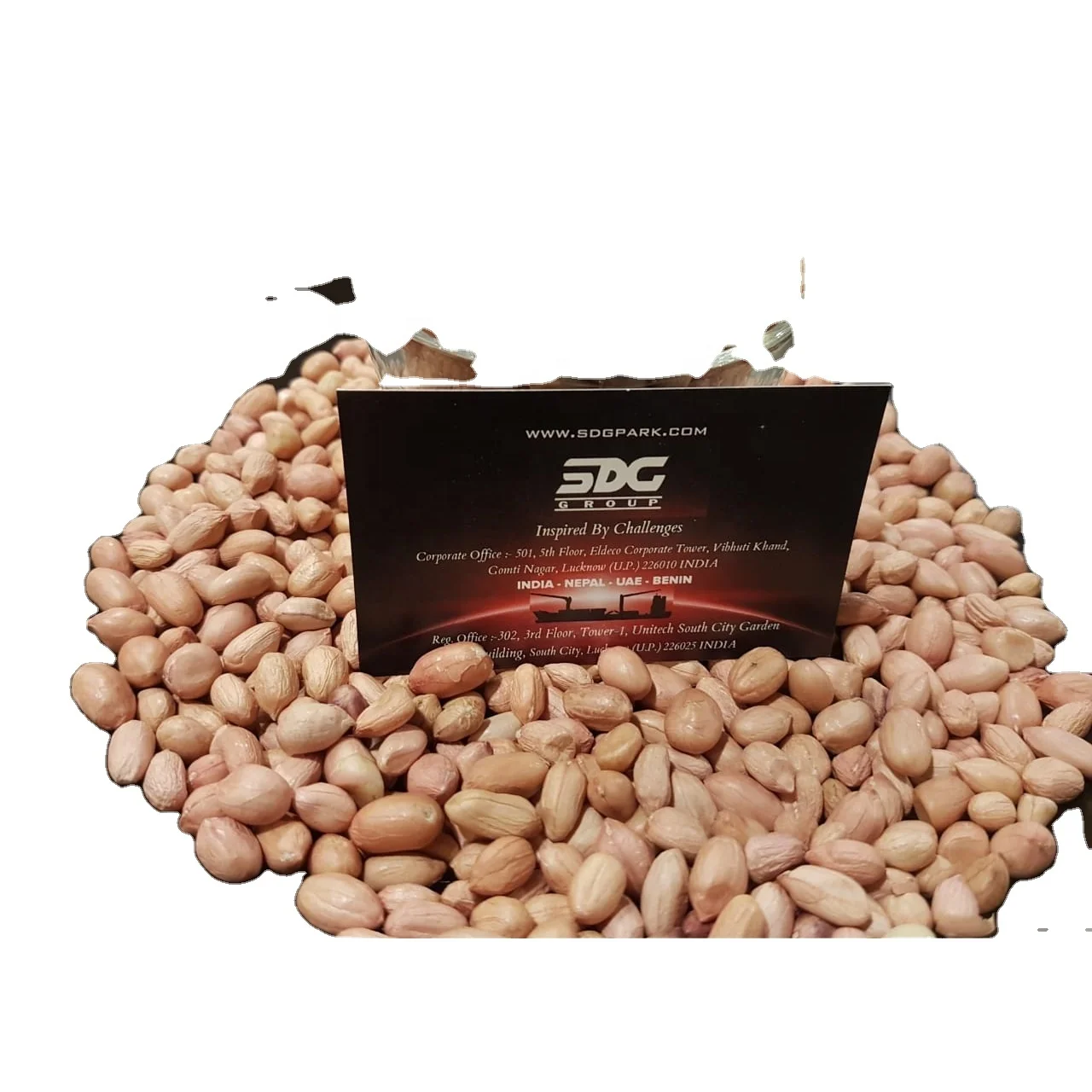 Top Buy Peanuts Java 100% Natural Common Cultivated Natural Dried Indian Ground Nuts Buy at Cheap Price