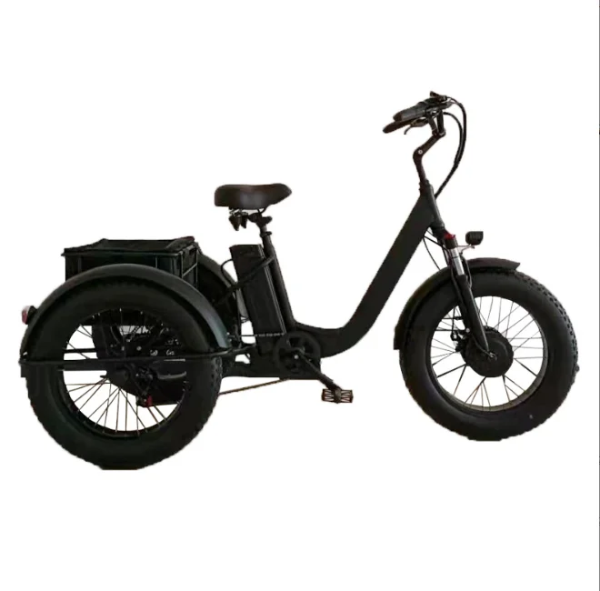 2024 Retro Foreign 24 Inch Snow Beach Wide Tire ElectricTricycle Lithium Electric Bicycle