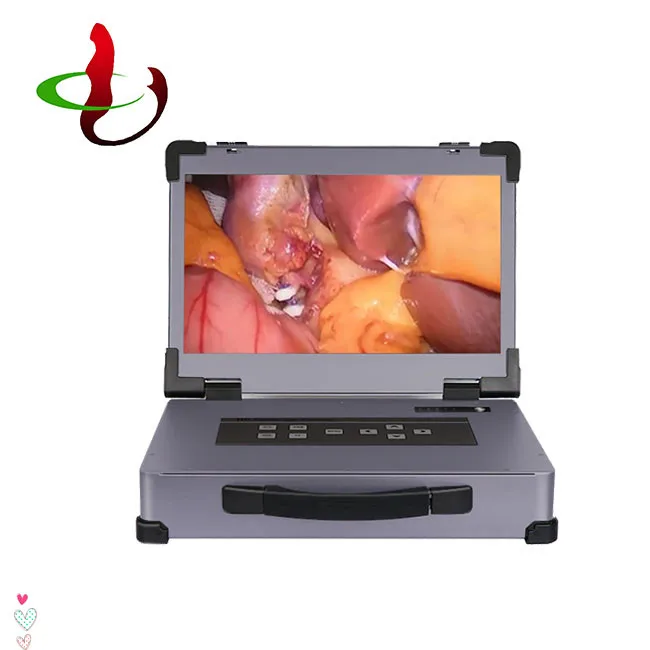 Высококачественная эндоскопическая камера портативная система с источником