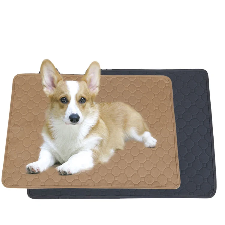 Pet Pads Dog Manufacturer Custom Logo All Size Reusable Magic Pads Pet Original Pet Pads